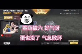 鲨鱼捡空投被六 好气呀 蛋也没了 气急败坏 和平精英S19赛季