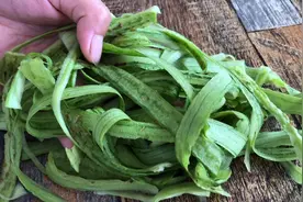 丝瓜皮千万别再扔掉了，原来作用这么厉害，一般人还不知道，学学视频封面