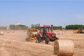 你没看过，见过的麦秸杆打捆全流程。#山东农业新机械视频封面