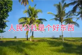 人民公社是个好东西，帮农民解决过实际困难，救过人命救过国运视频封面