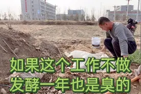 为什么自制豆粕肥臭不可闻，知道了原因，找到了方法