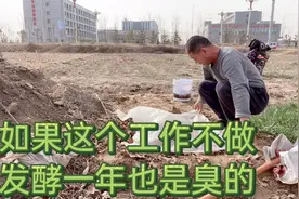 为什么自制豆粕肥臭不可闻，知道了原因，找到了方法