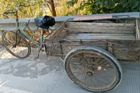 今天出来逛街看到一辆大人力三轮车特别喜欢，大家觉得这车怎么样视频封面