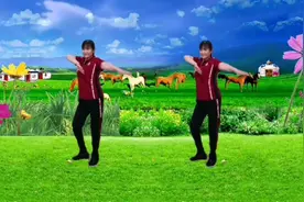 精选情感广场舞《格桑花儿开》柔情似水倾情演绎，背面附口令分解