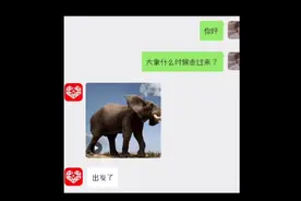 拼夕夕什么都有，下单大象，能自己回家视频封面