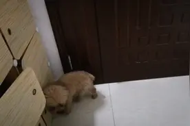 时间到了，紧紧盯住门口，姐姐该回来了吧？怎么还不回来呢？