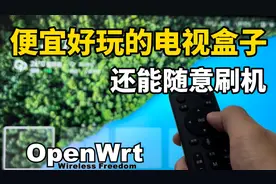 这台电视盒子便宜又好玩，可以刷成软路由或Linux系统