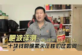 肥波评测（低端）：尖庄系列性价比之绵柔尖庄，这酒值20块钱吗？视频封面