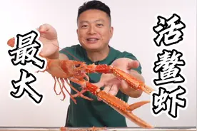 冰岛深海小龙虾 1.2斤挑战全网最大