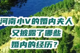 河南小V的婚内夫人在婚内究竟经历了怎样的事情？视频封面