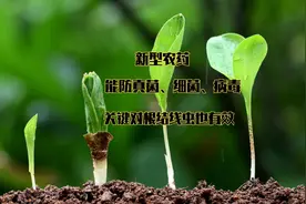 真菌、细菌、病毒、根线虫都有用的农药，提前喷一喷，作物少生病