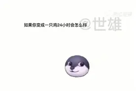 我变成一只鸡 24小时该怎么视频封面
