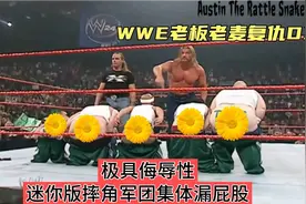 WWE迷你版圣灵组合vs王中王HBK，搞笑瞬间，老麦被烧爱车向DX复仇视频封面