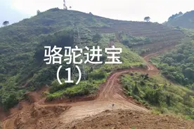 富贵双全视频封面