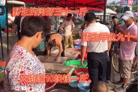 阜阳农村小伙赶大集。野生翘嘴三斤重的十二块，河虾三十块一斤，视频封面