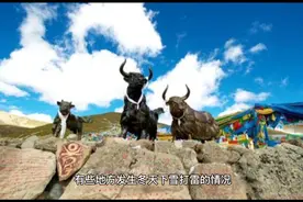 老话“雷打冬，十栏九空”啥意思？“栏”指的是啥？视频封面