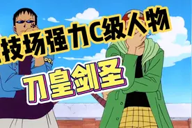 航海王热血航线：竞技场强力c级人物推荐，刀皇剑圣视频封面