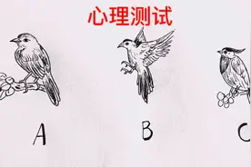 心理测试：你最喜欢哪只鸟？测试你有没有抑郁倾向？视频封面
