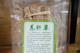 养肝草：清热解毒养肝护肝疏肝理气！熬夜喝酒人群更配哦！视频封面