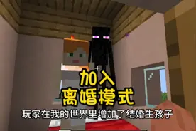 我的世界，加入了离婚模式