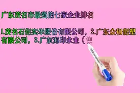 广东茂名市最强的七家企业排名视频封面