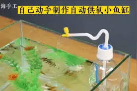 原来这么简单，自己动手也可以制作小鱼缸，而且还能自动供氧呢！视频封面
