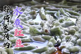 即将失传的水煮豇豆，只要一把水盐菜，这种做法只有农村人会煮了