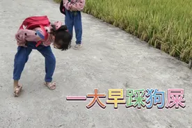 姐弟三人吃完早餐，在上学路上，踩到狗屎了，难道有好运视频封面
