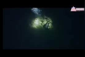 韩国犯罪团伙贩卖人体器官，看缉毒警察如何施救！视频封面