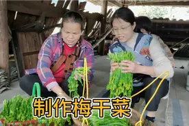 梅干菜正确的做法，农村婆媳花半个月时间才做好，放3年都不会坏