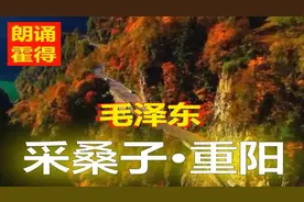 朗诵《采桑子重阳》视频讲解赏析古诗霍得十岁朗读毛主席诗词歌曲视频封面