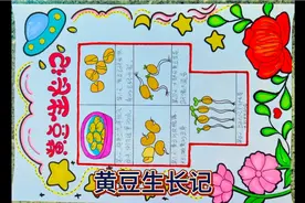 黄豆发芽观察日记视频封面