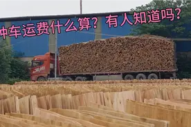 广西南宁市桉树加工厂，这种拖头货车运费什么算。视频封面