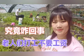 黑龙江鸡西有多位退休老人，每天工作8小时却不要工资，怎么回事