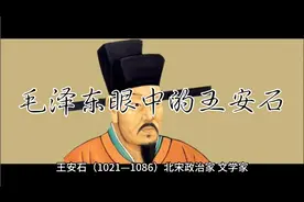 毛泽东眼中的王安石视频封面