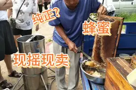 实拍河北农村大集现摇现卖蜂蜜场面，有说是真有说是假，难辨视频封面