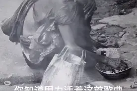 我们都在用力的活着视频封面