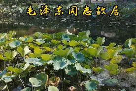 毛爷爷故居。视频封面