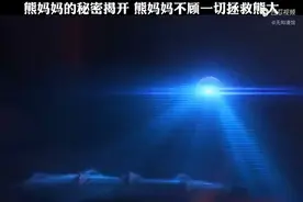 熊出没之伴我熊芯视频封面