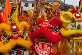 广西三月三！传统文化节！几百条狮子和龙齐争霸！