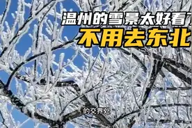 浙江温州的雪景太美，海拔1200米高山雾淞见一次不容易，你说美吗视频封面