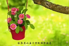 听听撒贝宁的经典语录，再学学生活小技巧😂视频封面