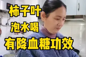 昨天的收益好少，还是要多去互动，用柿子叶泡水喝有降血糖的作用视频封面
