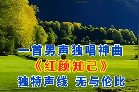 一首男声独唱神曲《红颜知己》🔥爆全网，独特声线，无与伦比！视频封面