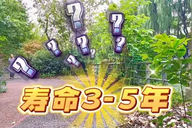她们说脑梗病人，一般寿命是3到5年，根据是啥视频封面