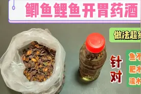 一款鲫鱼鲤鱼的开胃药酒，做法极其简单，最适合鱼口不好时使用视频封面