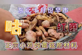 东北特产《红蘑》小鸡炖蘑菇，意外听说还有(狗肉炖王八)这道菜？视频封面