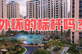 江苏夫妻上海156平新房交付，小区环境大变样，这么好小区知足了视频封面
