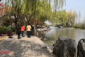 洛阳隋唐遗址植物园，满园春色！姐妹们不负春暖花开季节视频封面