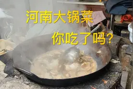 河南大锅菜，手把手教你怎么做，友子们17000浏览量我还剩1663了视频封面